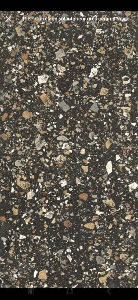 VENICE EARTH 30X60 IRIS FMG