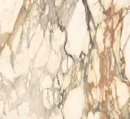 Nos prestations sur le secteur de Lyon